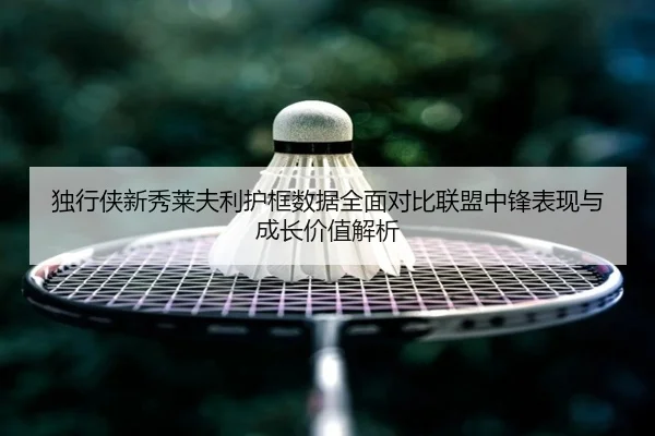 独行侠新秀莱夫利护框数据全面对比联盟中锋表现与成长价值解析